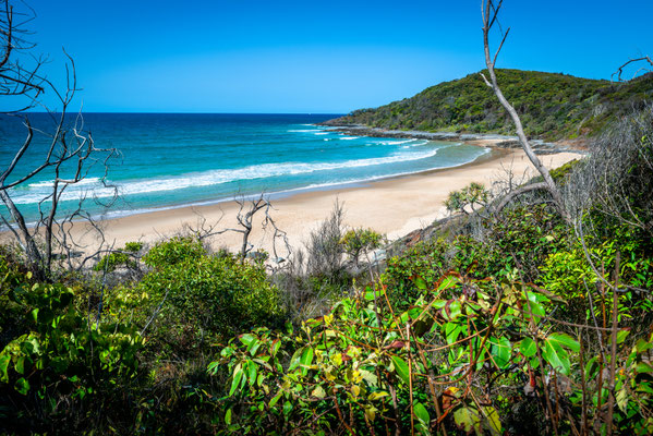 Noosa Heads National Park
