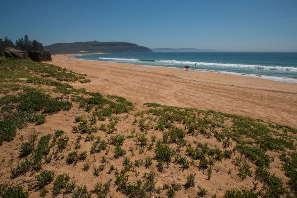 Palm Beach
