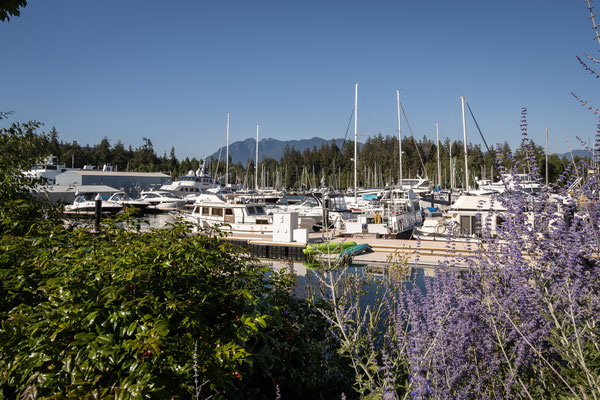 Denovian Park - Sicht zum Stanley Park