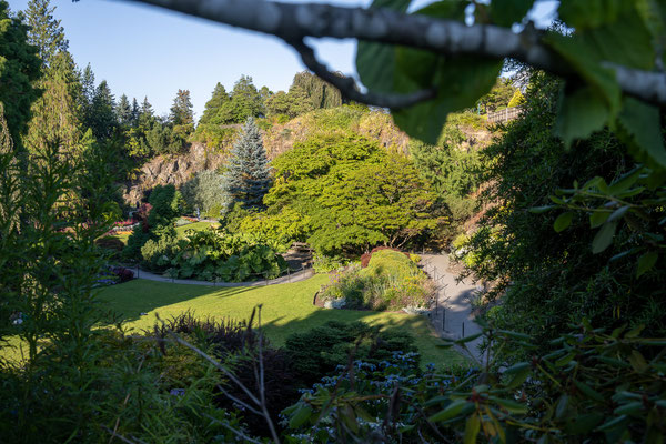 Queen Elizabeth Park - Quarry Gardens