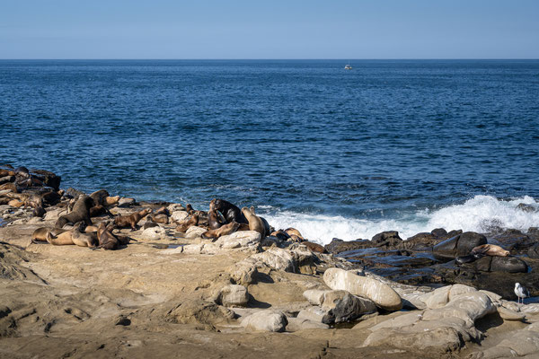 La Jolla, San Diego