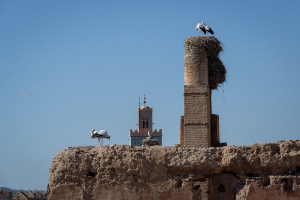 Marrakesch - El Badi Palast 
