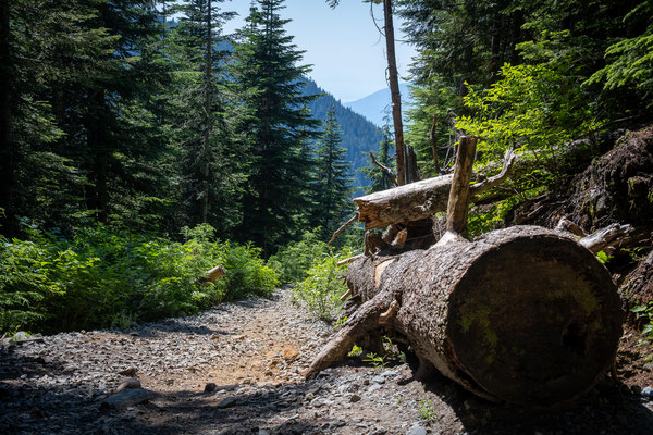 Cypress Provincial Park - Wanderung zum Bowen Lookout