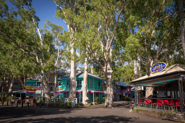 Palm Cove
