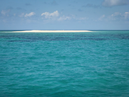 Schnorchel-Tour - das Mackay Reef mit seiner Sandinsel