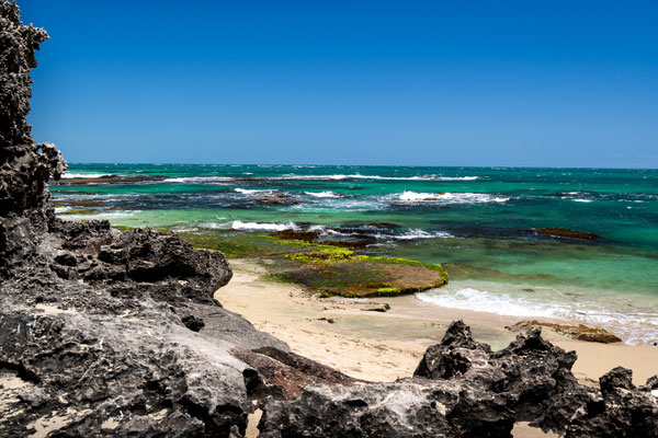 Penguin Island, Rockingham - West Beach