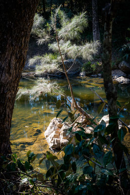 Eungella NPational Park - Fluss direkt beim Campground