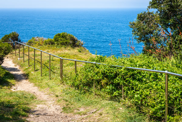 Coastal Cliff Walk - Eastern Avenue Reserve / Dover Heights