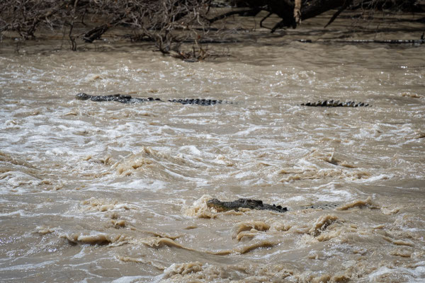 Cahills Crossing, Kakadu Nationalpark - die Flut