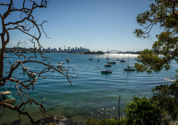 Hermitage Foreshore Walk 