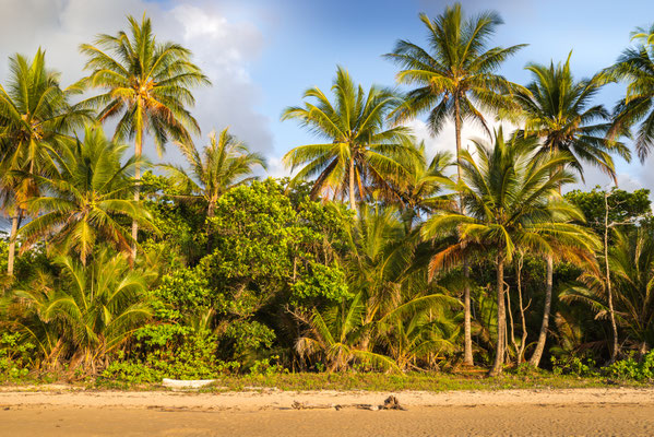 Mission Beach am frühen Morgen