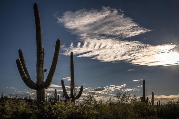 Sabino Canyon - Before Sunset