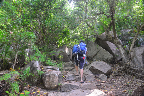 Auf dem Weg zur Petit Anse und Anse Coco