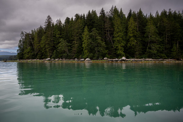 Port McNeill/Knight Inlet - Grizzly Tour mit 'Sea Wolf Adventures'