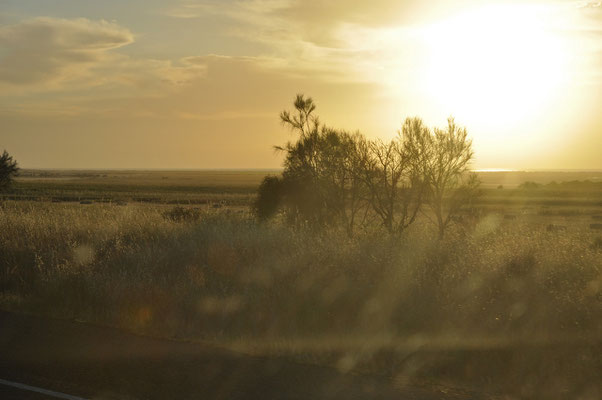 Sonnenaufgang Spencer Gulf