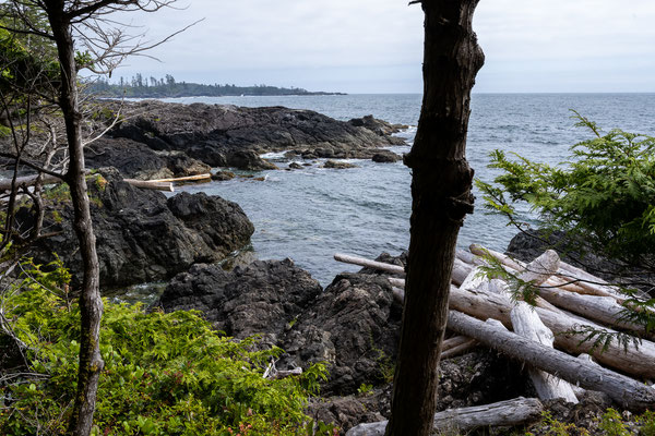 Ucluelet - Wild Pacific Trail