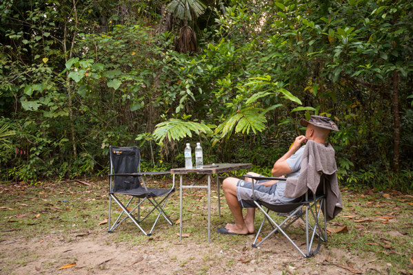 Camping Lync-Haven Rainforest Retreat