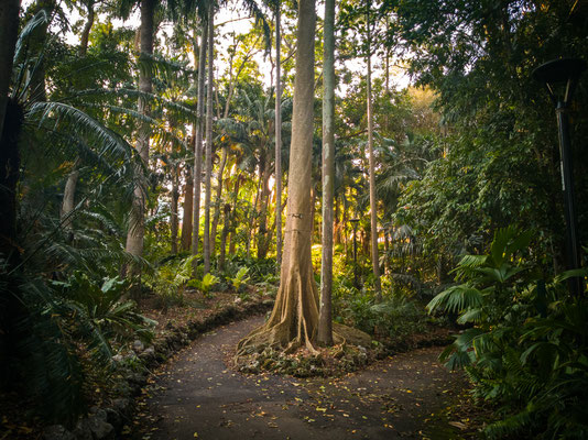 City Botanic Garden