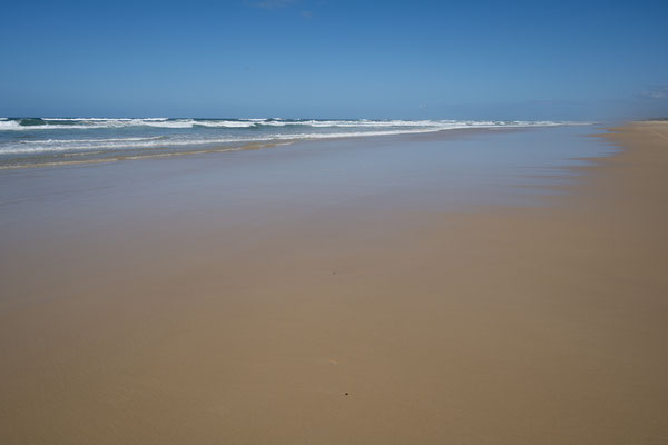 Fraser Island - der 75 Mile Beach