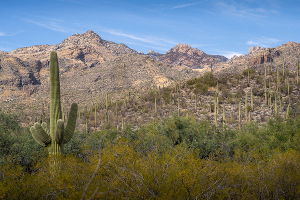 Sabino Canyon