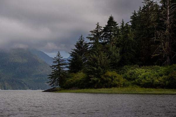 Port McNeill/Knight Inlet - Grizzly Tour mit 'Sea Wolf Adventures'