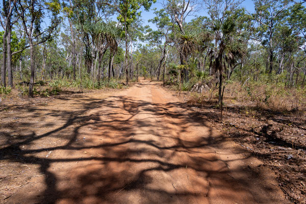 Litchfield Nationalpark - Lost City - der Track