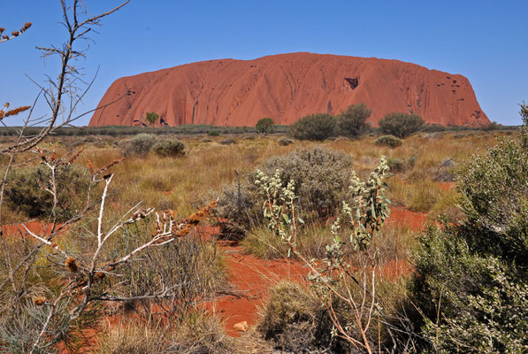 Uluru - von der Sunset Vewing Area aus