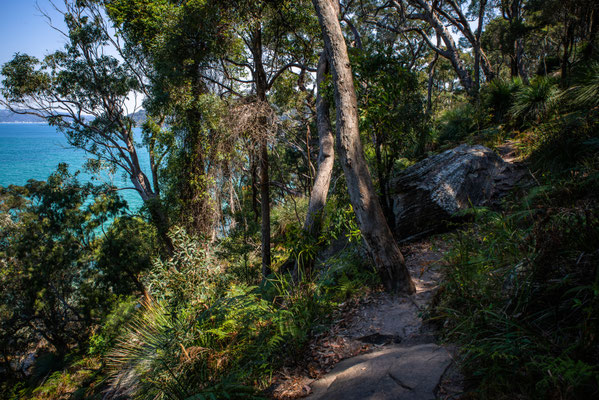 Mackarel Track zum Resolute Beach, Kuring-gai National Park
