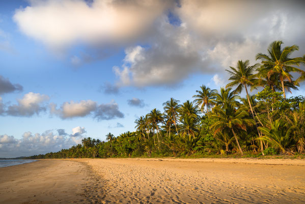 Mission Beach am frühen Morgen