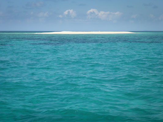 Schnorchel-Tour - das Mackay Reef mit seiner Sandinsel