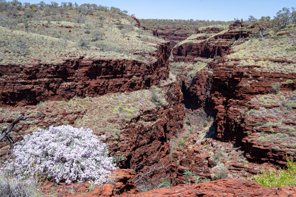 Oxer Lookout, Karijini Nationalpark