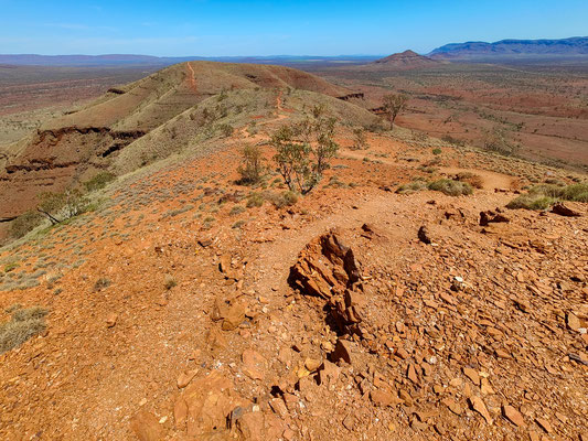 Wanderung Mount Bruce, Karijini National Park 