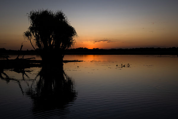 Yellow Water Lagoon, Kakadu Nationalpark - Sunset