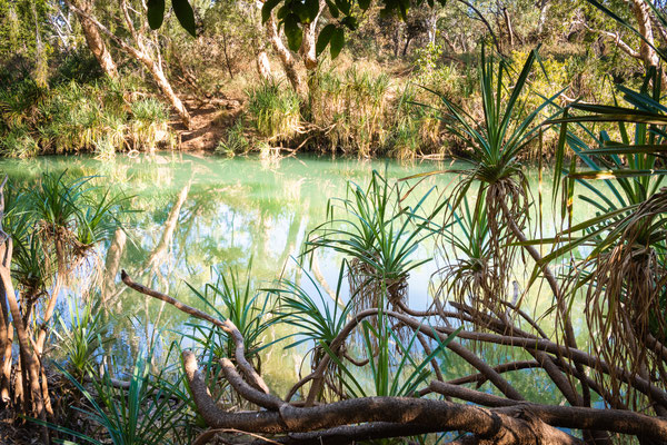 Gregory River - Gregory River Bridge Free Camp