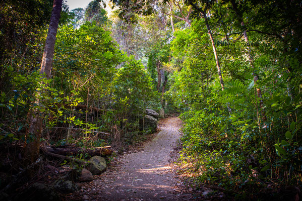 Wanderung auf den Mount Berrburrum