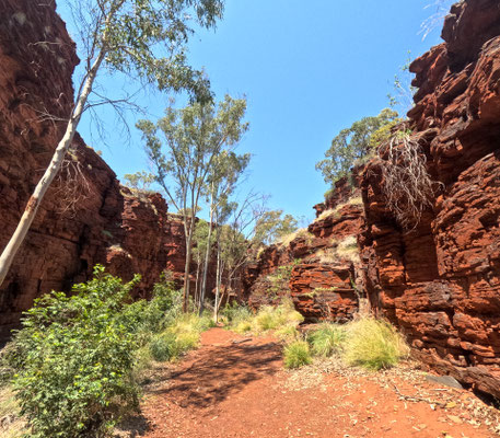 Weano Gorge, Karijini Nationalpark