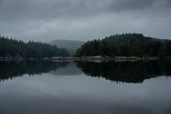Port McNeill/Knight Inlet - Grizzly Tour mit 'Sea Wolf Adventures'