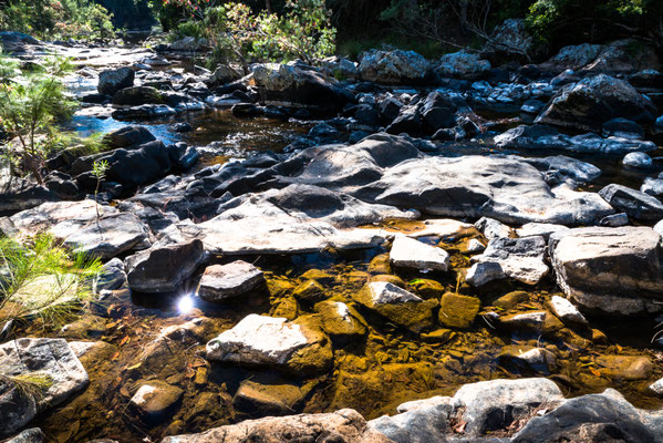 Eungella NPational Park - Fluss direkt beim Campground