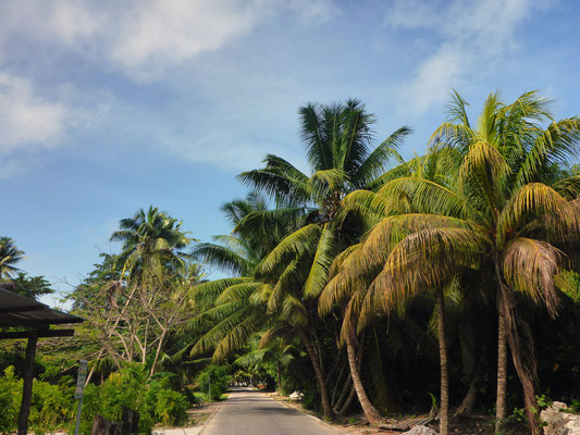 Unterwegs auf La Digue (Inselinneres)