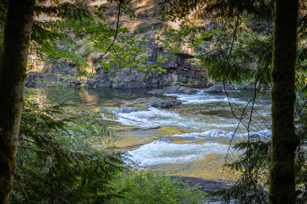 Elk River Provincial Park - Rundwanderung