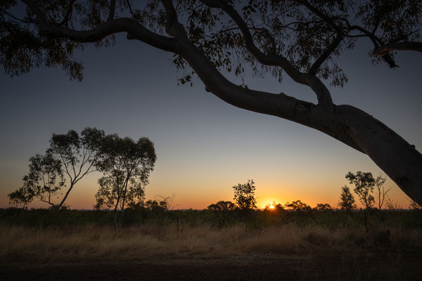 Terry Smith Lookout - Free Camp - Sunset