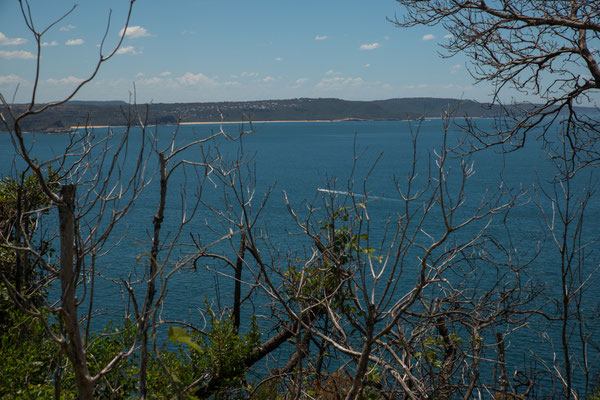 Beim Barrenjoey Liththouse - Aussicht weiter nach Norden