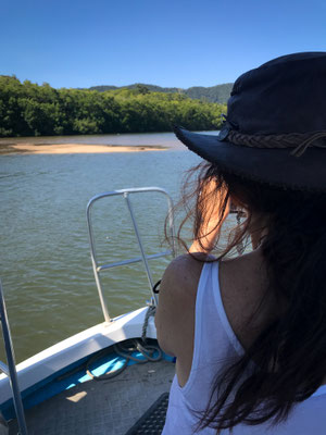 Solar Whisperer Daintree River Crocodile-Tour