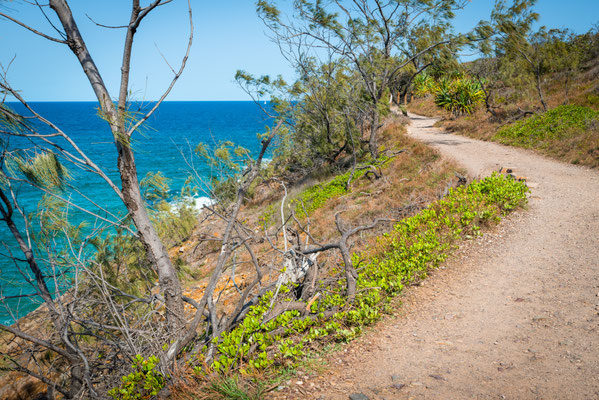 Noosa Heads National Park - Coastal Walk
