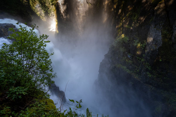 Elk River Provincial Park - Rundwanderung, Elk Falls