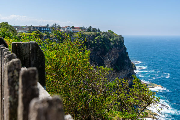 Coastal Cliff Walk - Rodney Reserve, Dover Heights