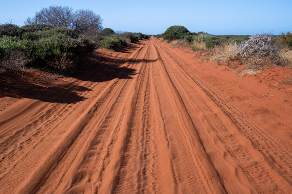 Shark Bay Halbinsel - die rote Sandpiste durch den François Peron Nationalpark