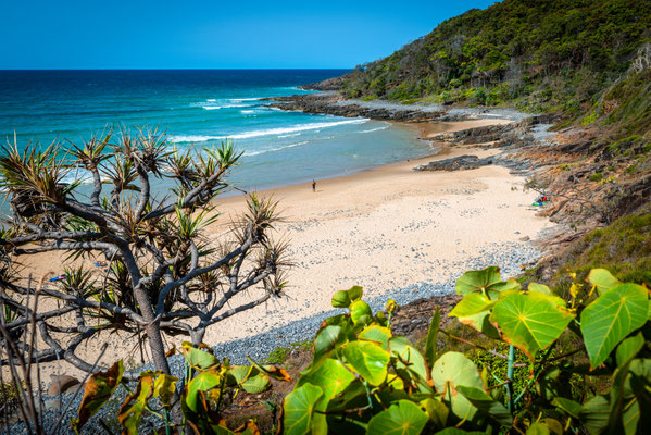 Noosa Heads National Park
