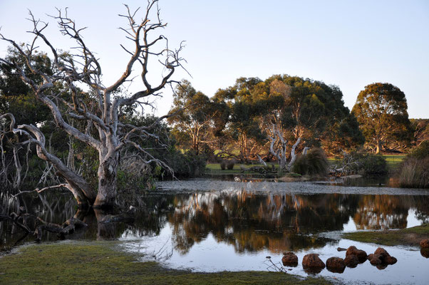 Kangaroo Island Caravan Park - Lagune beim Platz