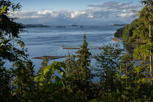 Auf dem Weg nach 'Telegraph Cove' - Aussicht bei 'Beaver Cove'